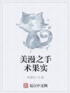 美漫之手术果实